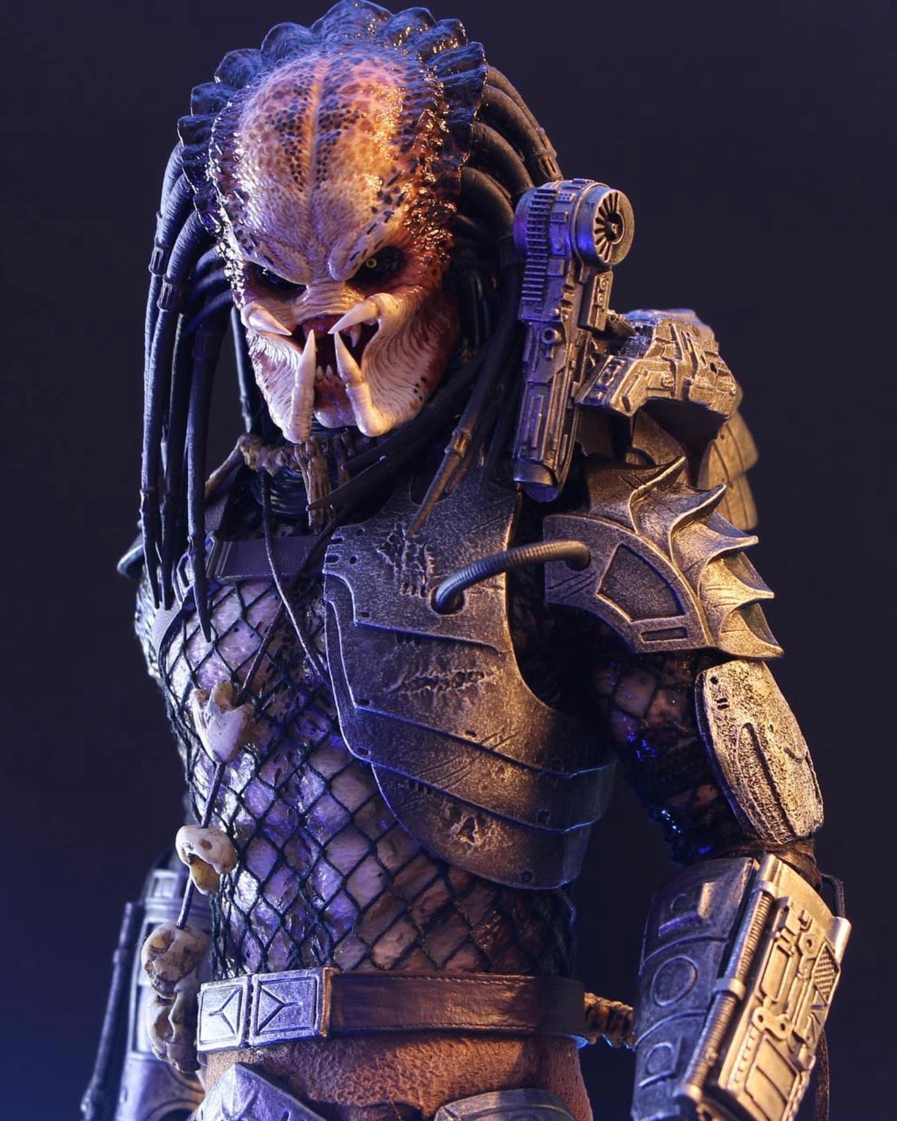 Hot toys MMS162 Predator Classic Predator Special Edition - Hot Toys ...